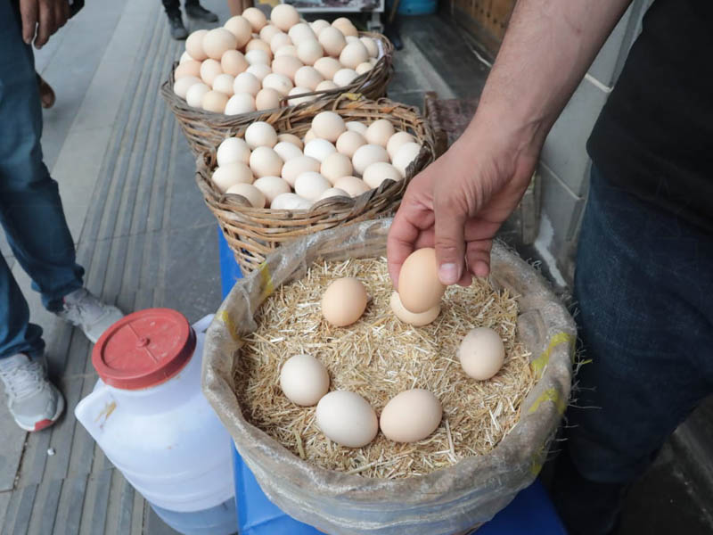 Diyarbakır'da Köy Yumurtası Ne Kadar4