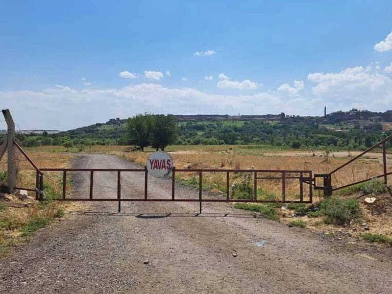 Diyarbakır’da Ağaç Kesimiyle Gündeme Gelmişti, Bakın Sahibi Kim Çıktı4