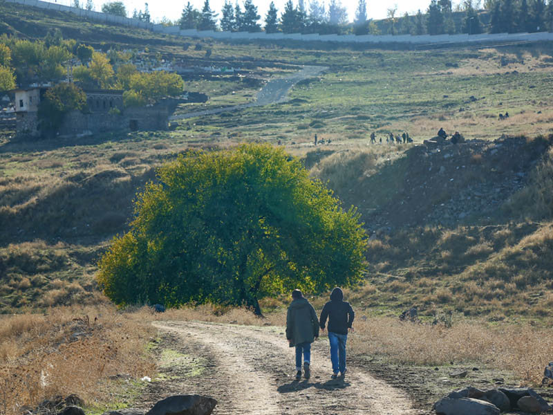 Diyarbakır’ın Ormanlarına Ne Oldu3