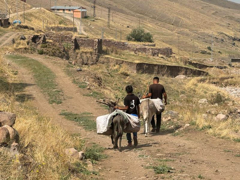 Iğdırlı Çocukların Eşekle Su Taşıma Çilesi2