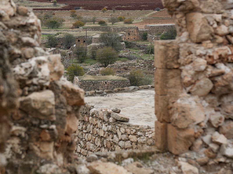 Mardinde Sıra Dışı Bir Zaz7