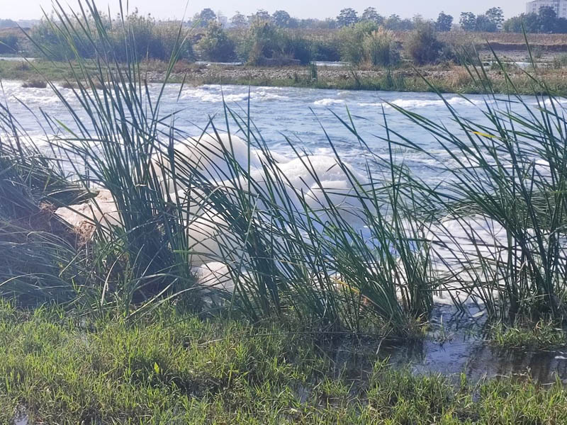 Dicle Nehri3