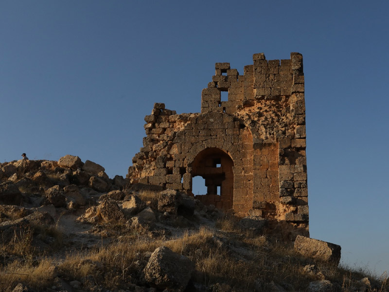 Diyarbakır’daki Zerzevan Kalesi’nin Yerli Ve Renkli Ziyaretçileri3