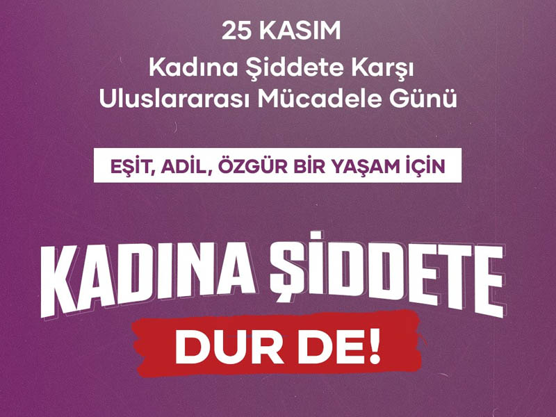 25 Kasım Kadına Şiddet