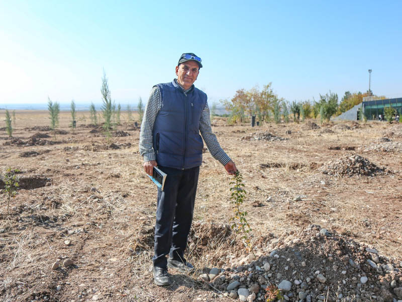 Diyarbakır’da 10 Yıldır Yeşermeyen Ormanın Hikayesi3