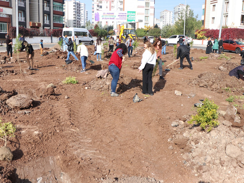 Diyarbakır’da Katledilen Kadınlara Ithafen 15 Nar Ağacı2