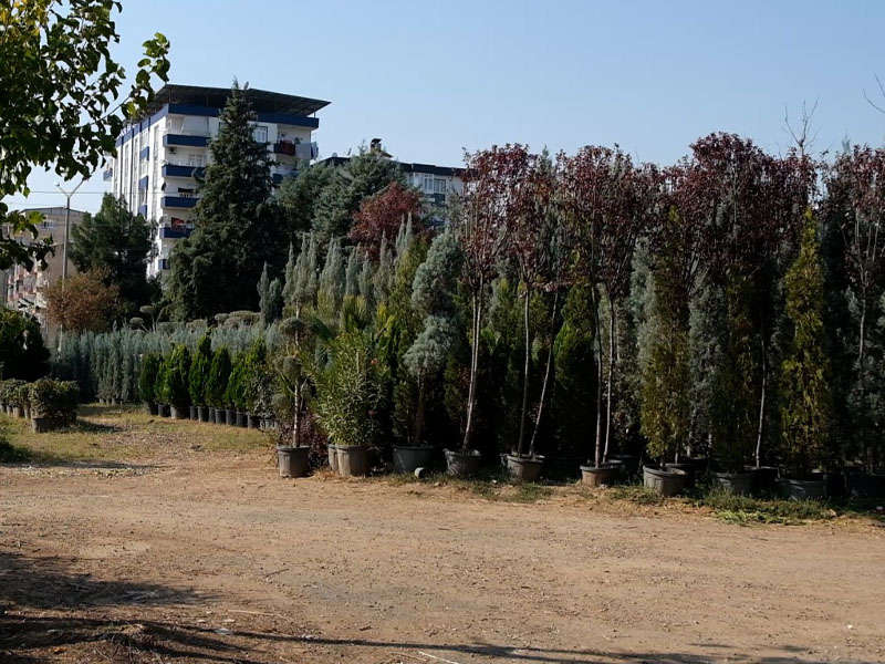 Diyarbakır’ın Oksijen Deposu6