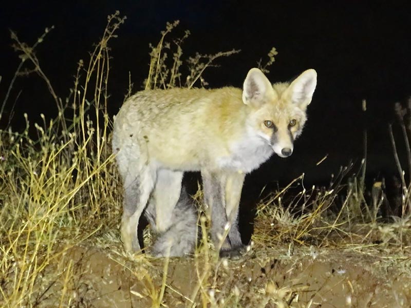 Kuş Cenneti Nemrut Kalderası3