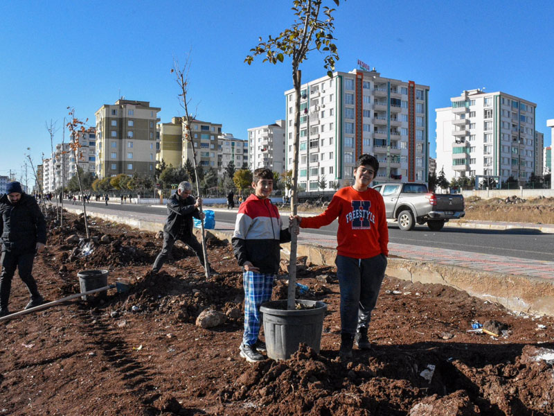 Diyarbakır’da Bir Örneği Daha Yok!3