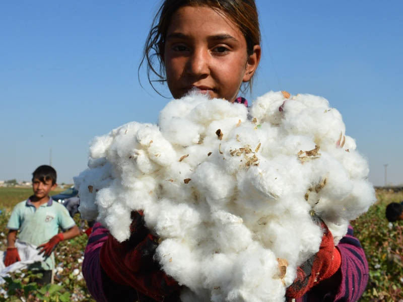 Diyarbakır'ın 16 Ürünü Daha Tescil Yolunda4