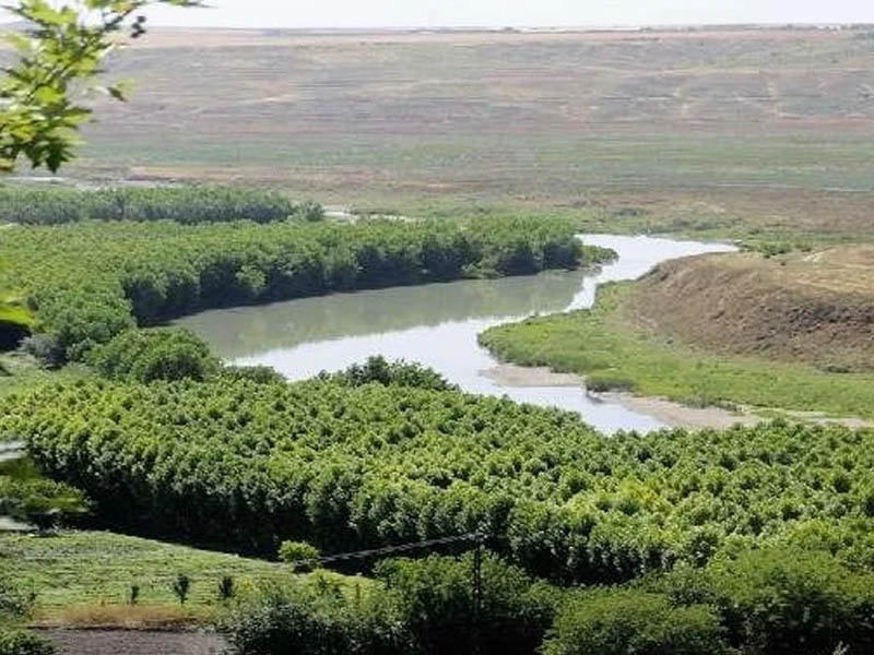 Diyarbakır'ın Yüzde Kaçı Tarım Alanı4