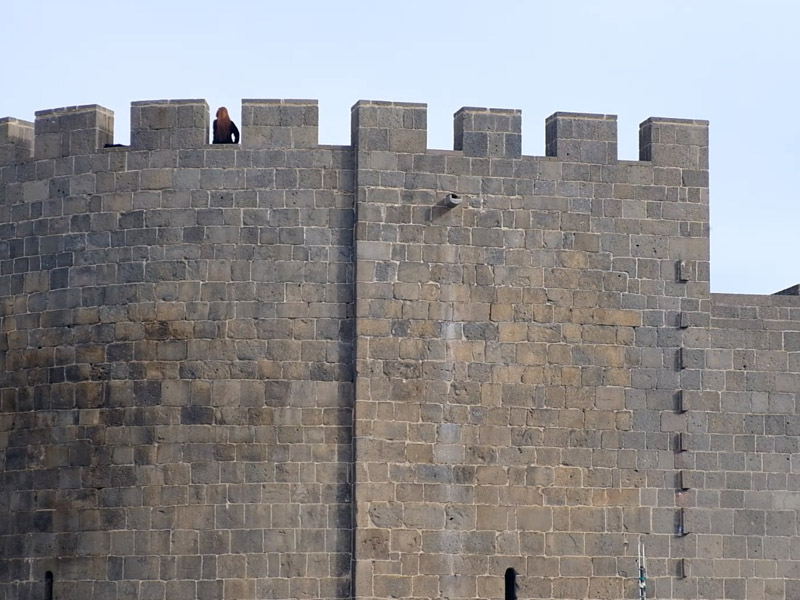 Diyarbakır Surları Için Acil Çağrı7