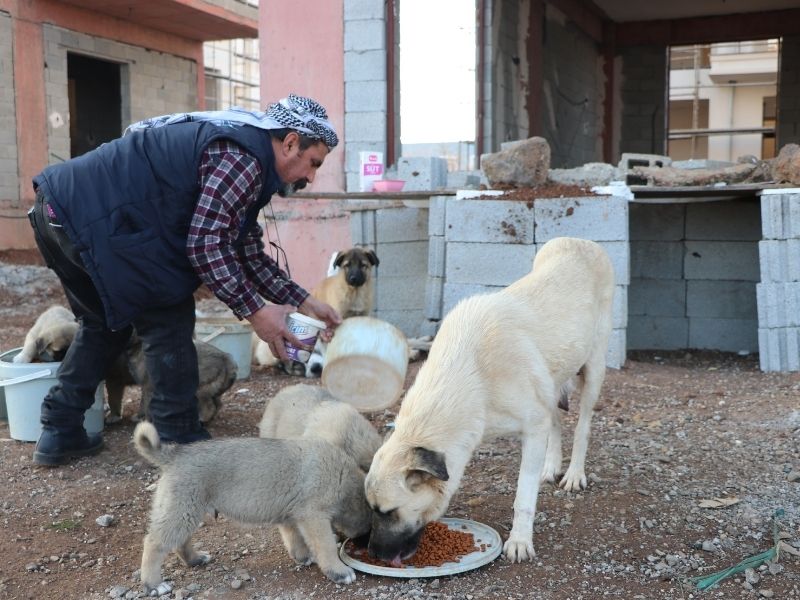 Haber Içi Ölçü (5)