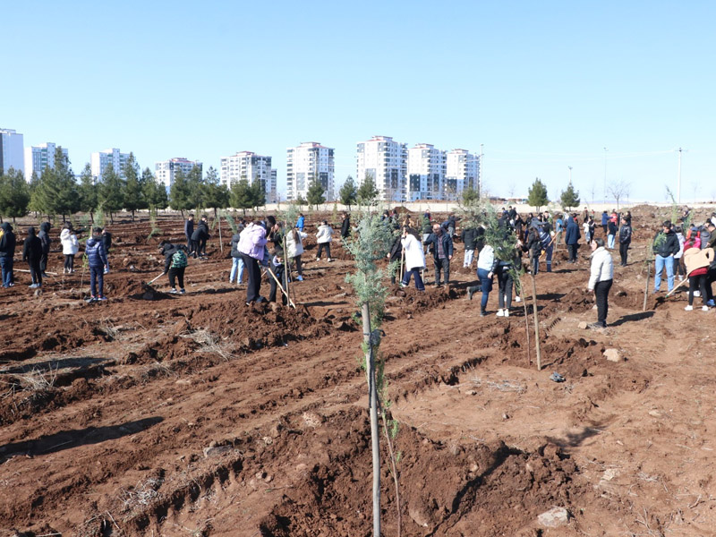 Diyarbakır Gen Koleji Ağaç Dikme Etkinliği Düzenledi5