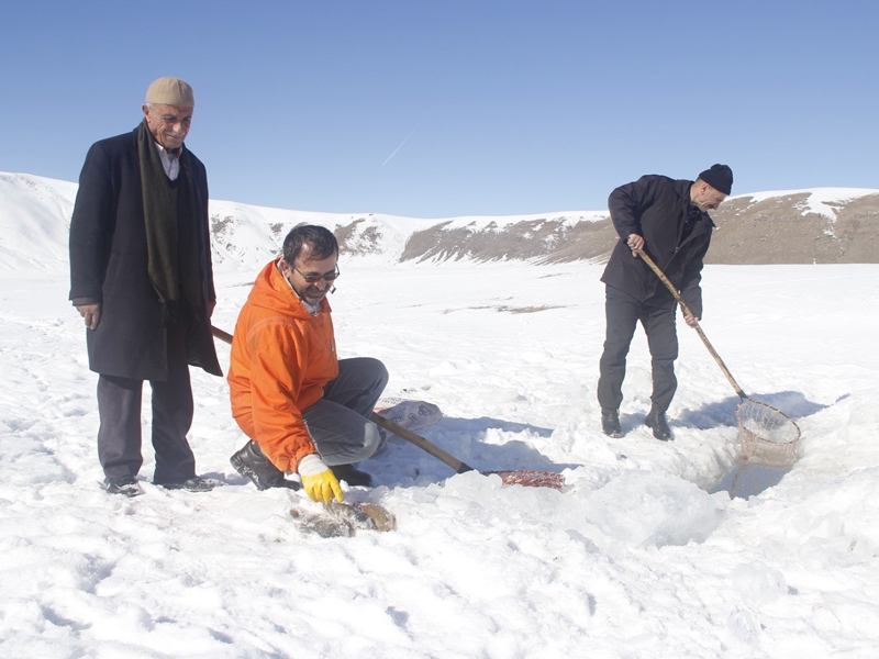 Van’da ‘Eskimo’ Usulü Balık Avı1