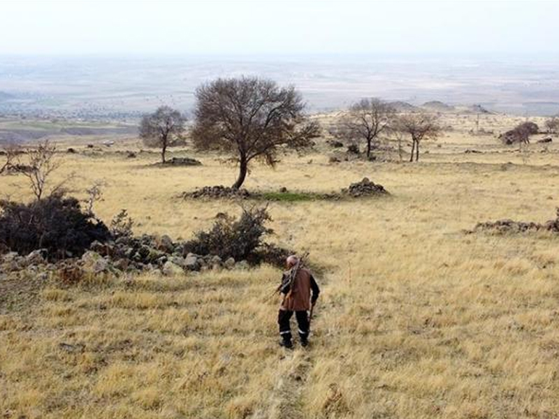 Yalnızlığa Meydan Okuyorlar1