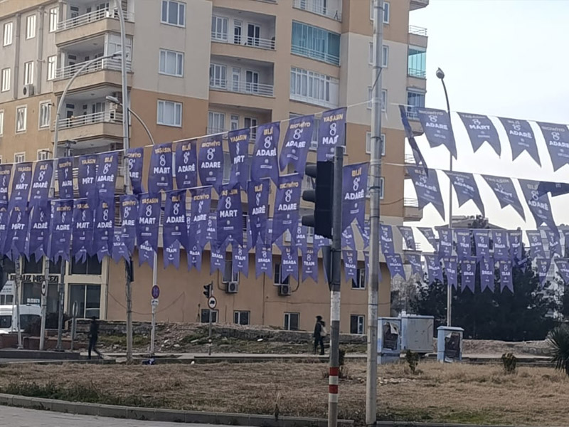 Diyarbakır Mor Flamalarla Süslendi1