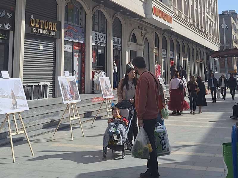 Diyarbakır’da Kadın Dengbejlerin Hayatı Ve Eserleri Bu Sergide 2