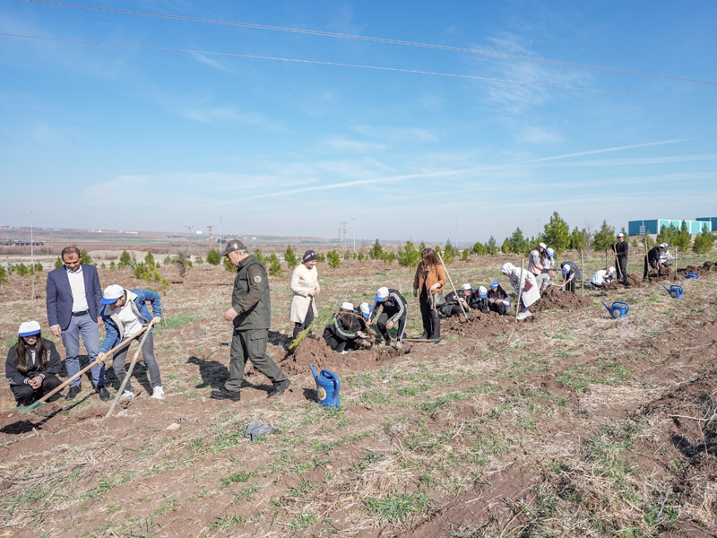 Diyarbakır’dan Dünyaya Örnek Bir Okul4