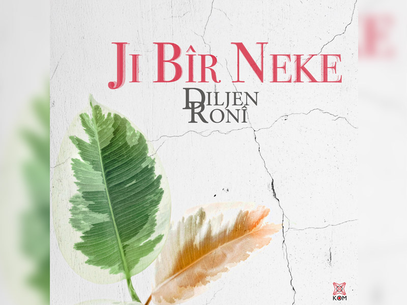Diljen Ronî, 7 Yıl Aradan Sonra “Ji Bîr Neke” Ile Döndü2