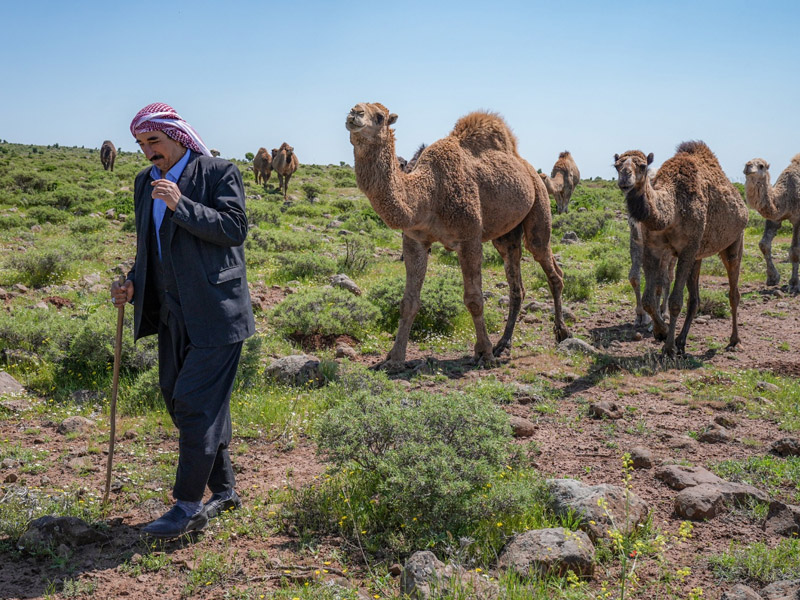 Diyarbakır Şanlıurfa Arasında Tabela Tal4