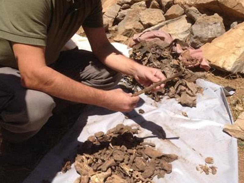 Diyarbakır’daki Toplu Mezar Iddiası Külliye’de2