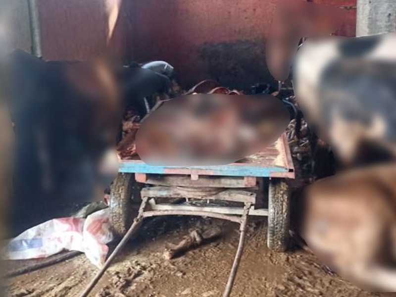 Kebabın Başkentinde Skandal! 2,5 Ton At Eti Ele Geçirildi, 4 At Kurtarıldı1