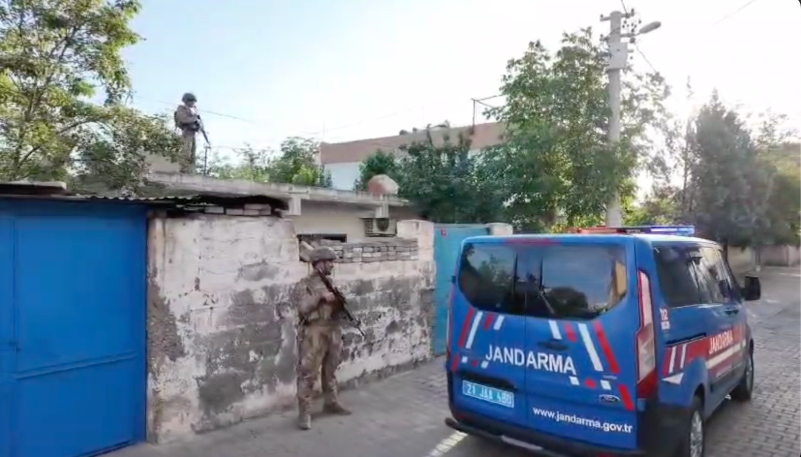 Suc Orgutu Diyarbakir