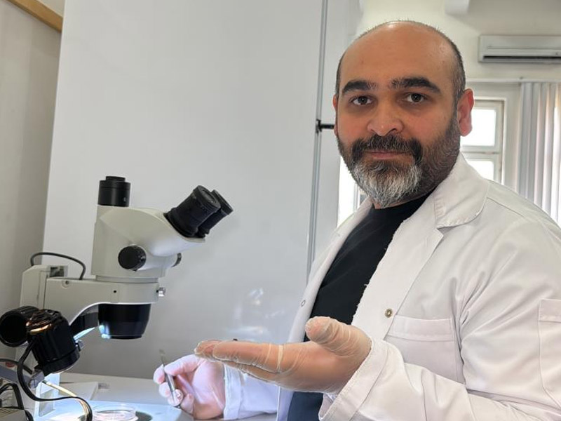 Asya Uzun Boynuzlu Kenesi Türkiye Faunasına Girdi