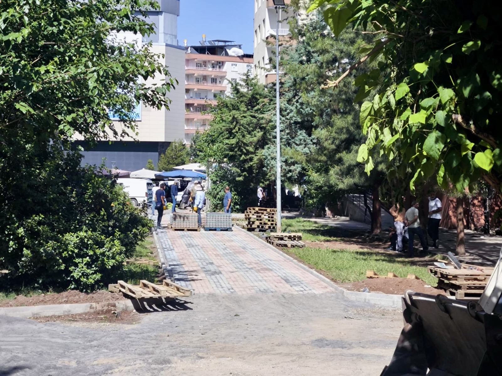 Diyarbakir Baglarda Sikayetlerin Odagindaydi Calisma Baslatildi2