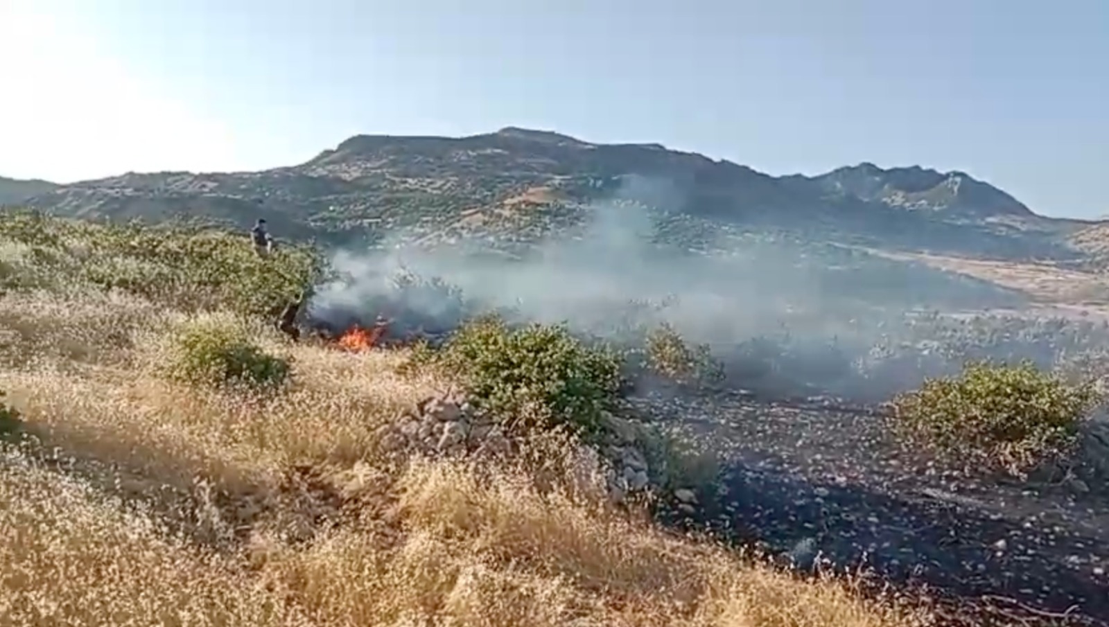 Diyarbakir Diclede Yangin Koyluler Mudahale Ediyor2