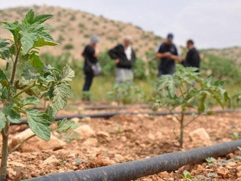Diyarbakır, Kaliforniya’ya Rakip Oluyor2