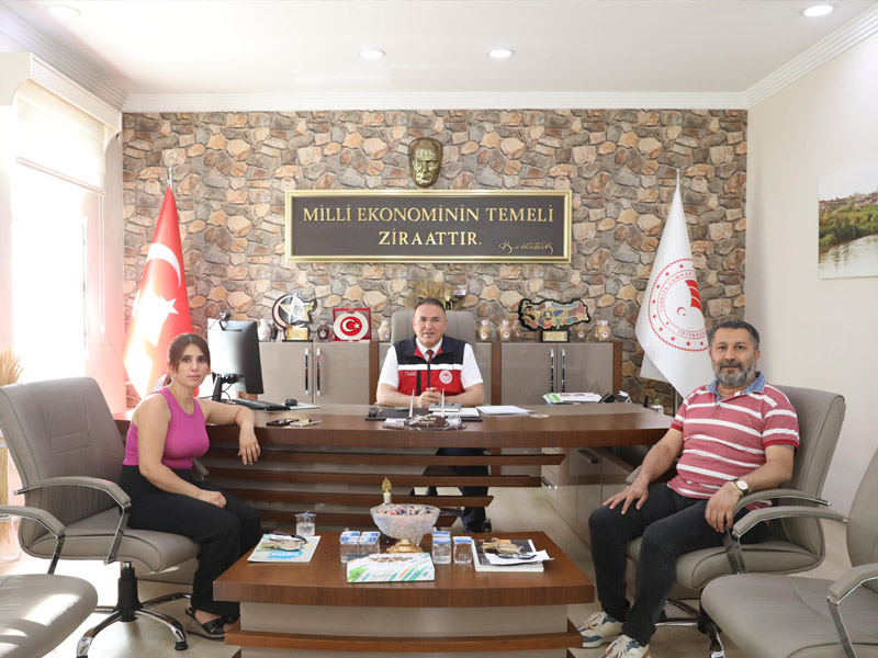 Diyarbakır, Kaliforniya’ya Rakip Oluyor4