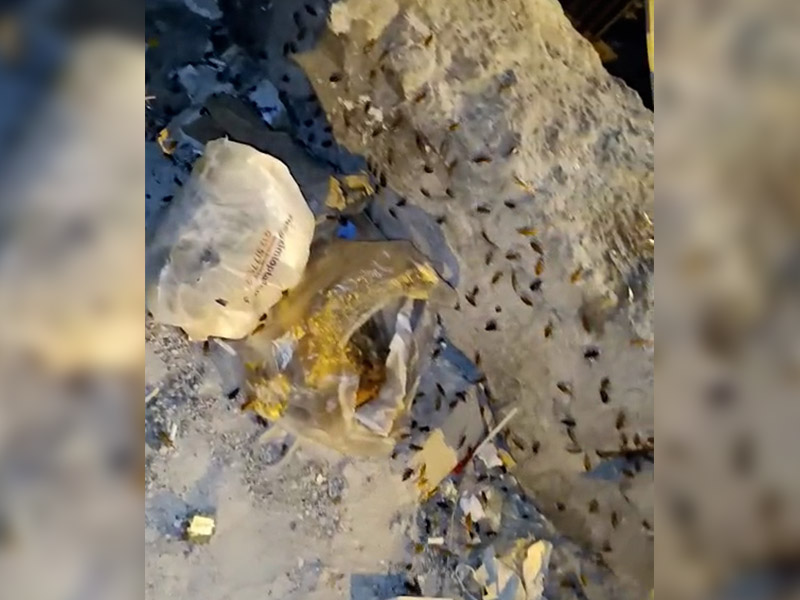 Diyarbakır’da Esnafın “Istila” Isyanı!2