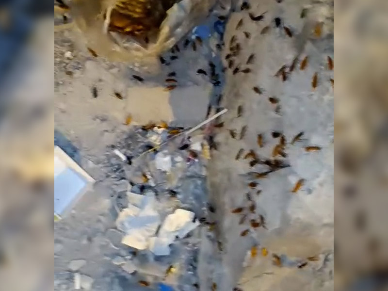 Diyarbakır’da Esnafın “Istila” Isyanı!3