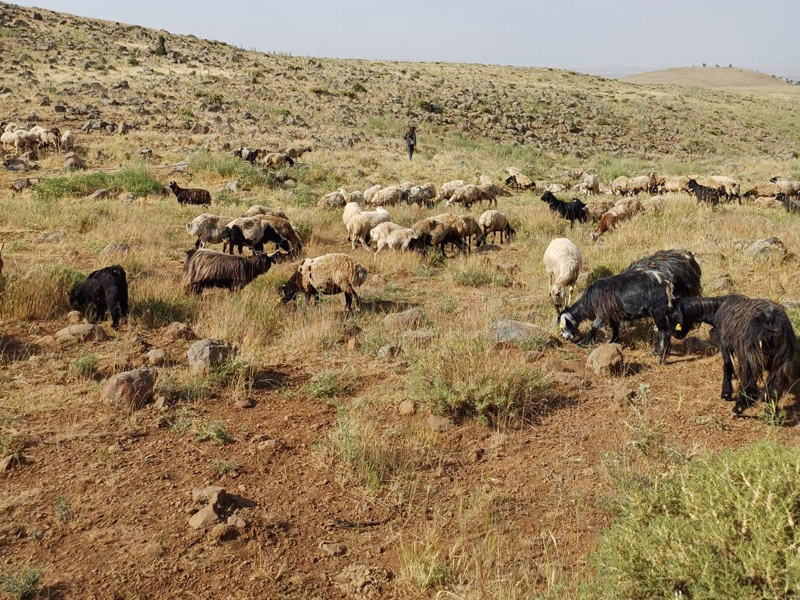 Diyarbakır’da Su Krizi6