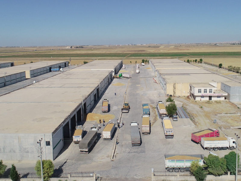 Mardin Ovası'nda Çiftçilerin Yangın Korkusu3