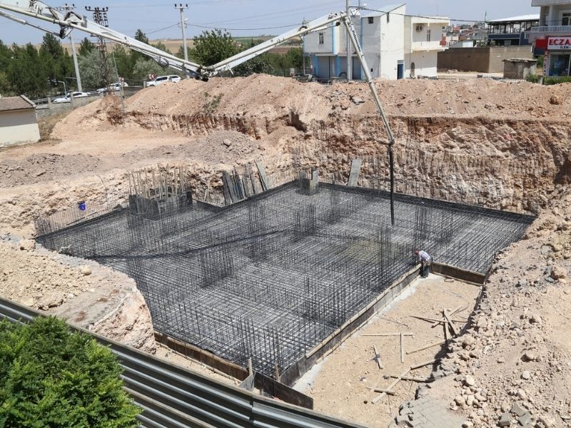Çınar2