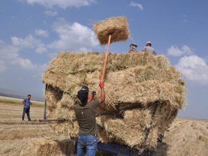 Diyarbakır Ekonomisine Can Veren Sektör Işbaşı Yaptı2