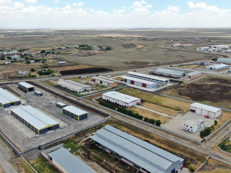Diyarbakır’da Hayvan Alım Satımında Bir Ilk!3