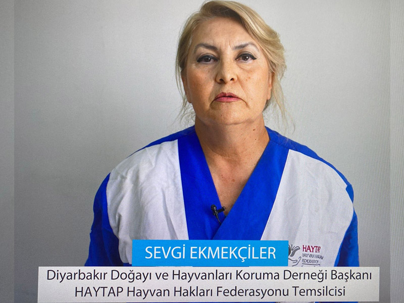 Diyarbakır’da Hayvan Hakları Savunucularından Kritik Çağrı4