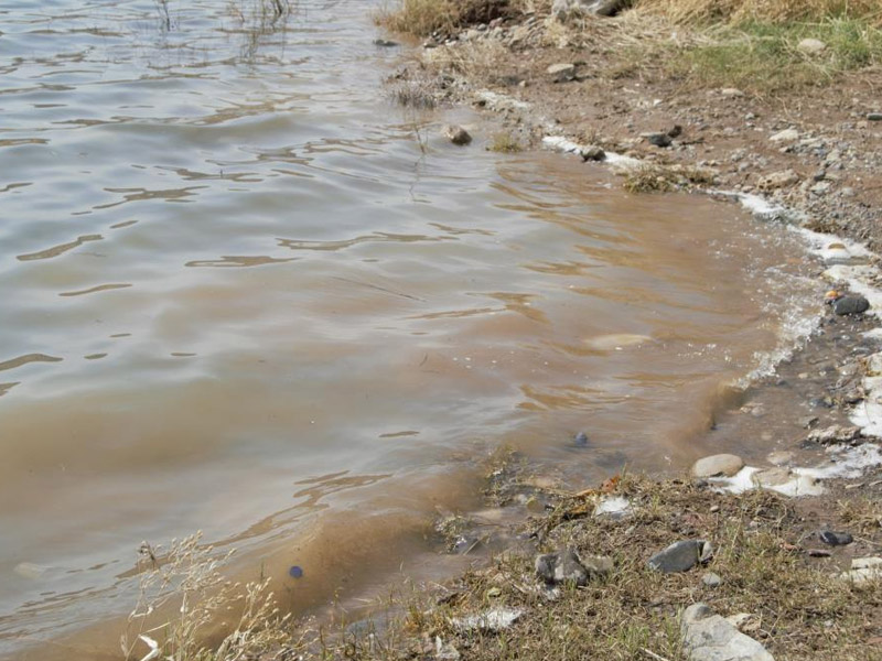Diyarbakır’ın Gözde Mekanı Bataklığa Dönüştü, Halk Isyan Etti