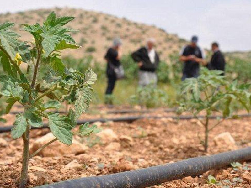 Diyarbakırlı Çiftçi Isyanda2