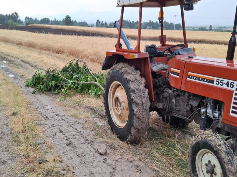 Ekili Araziye Yıldırım Düştü. 8 Ton Buğdayı Kül Etti1