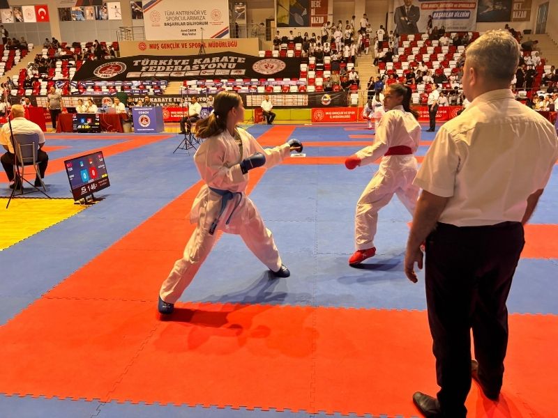 Karate1