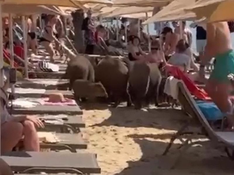 Marmaris1