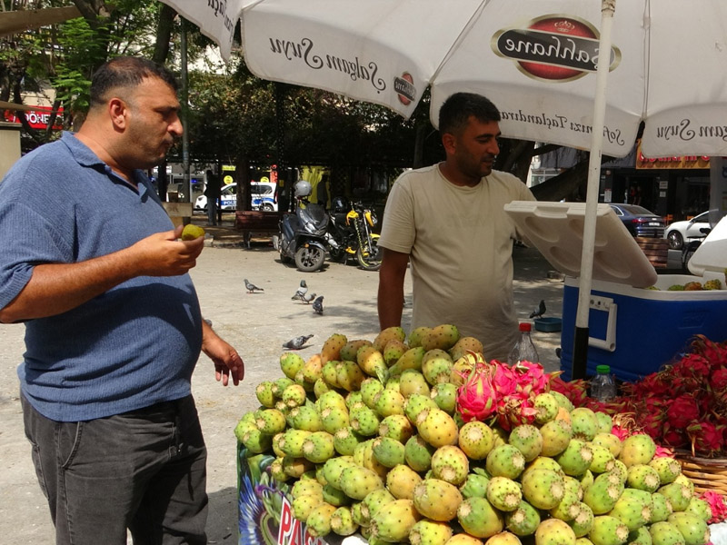 Şifa Deposu Dikenli Incir Tezgahlarda Yerini Aldı2