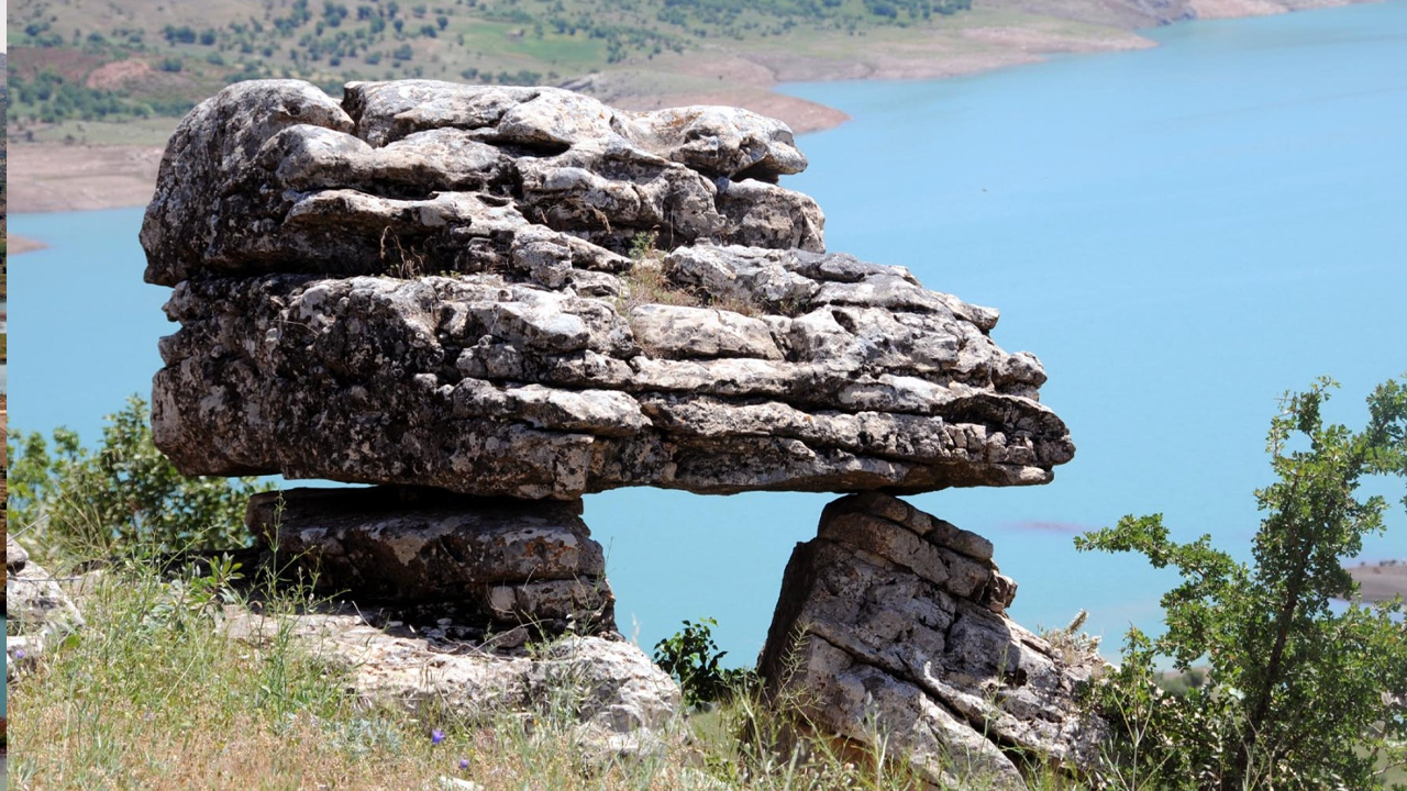 Dicle11-1