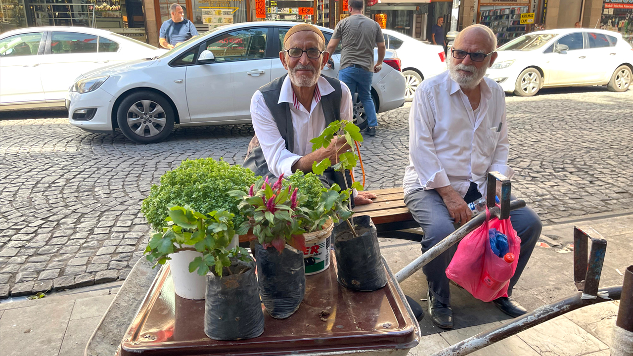 Diyarbakır'da 5 Yıldır Ekmeğini Çiçekten Çıkarıyor3
