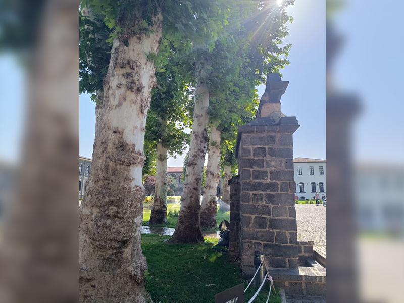 Diyarbakır'da Kanuni’ye Şifa Olan Çeşme Yıkılmak Üzere2